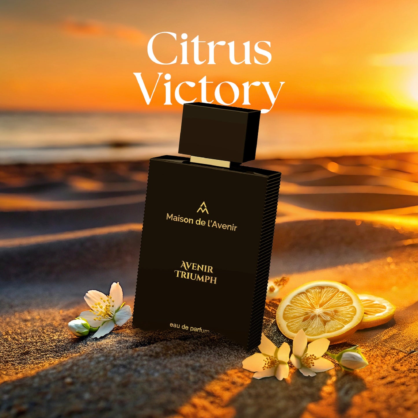 Avenir Triumph – Apă de parfum unisex, Maison de l’Avenir, 100 ml