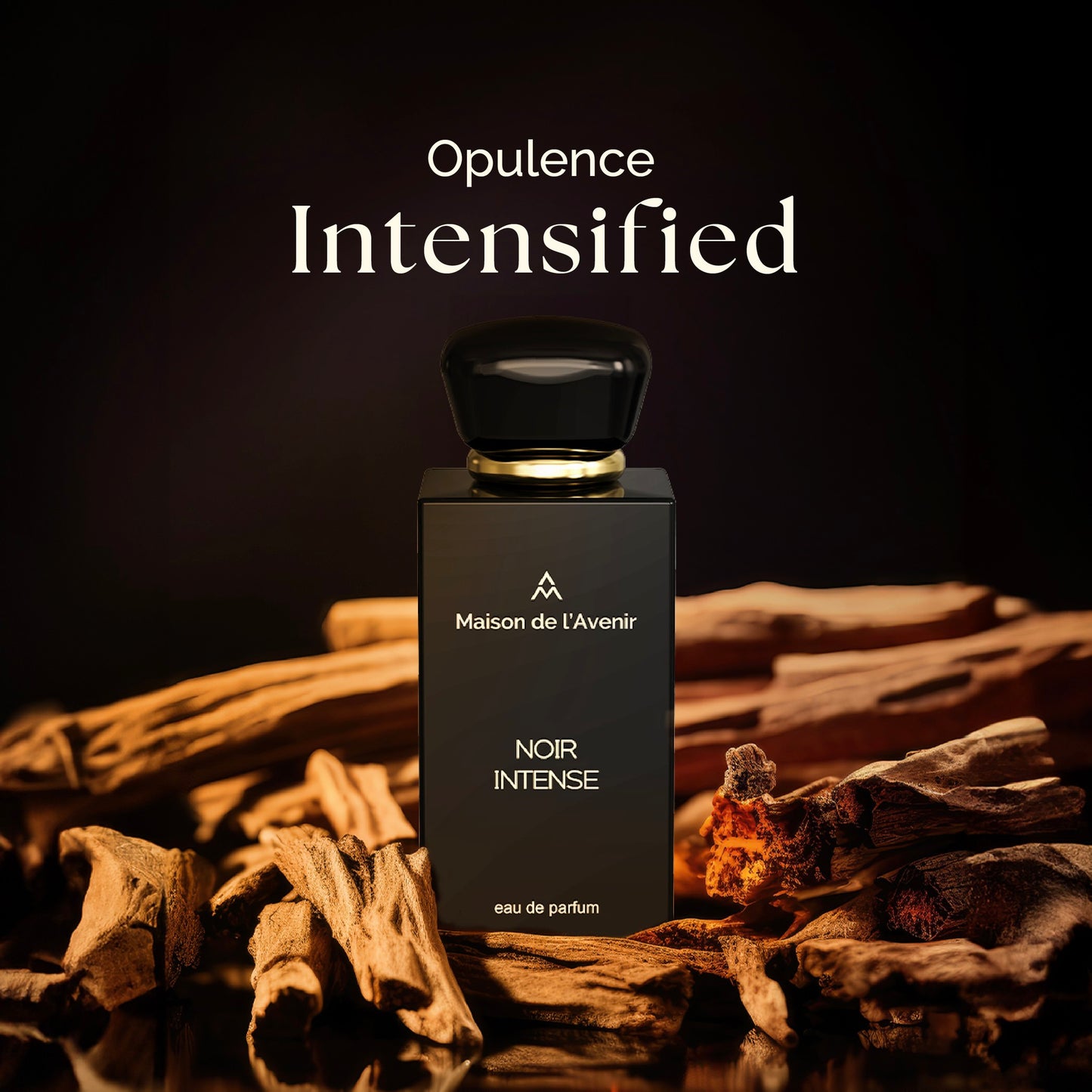 Noir Intense – Apă de parfum unisex, Maison de l’Avenir, 100 ml