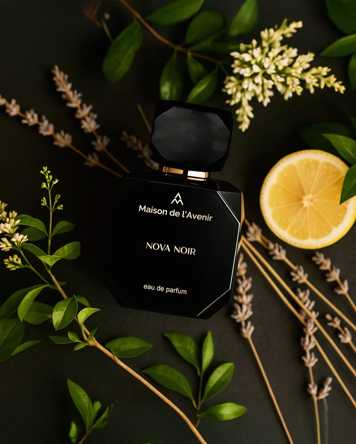Nova Noir – Apă de parfum unisex, Maison de l’Avenir, 100 ml