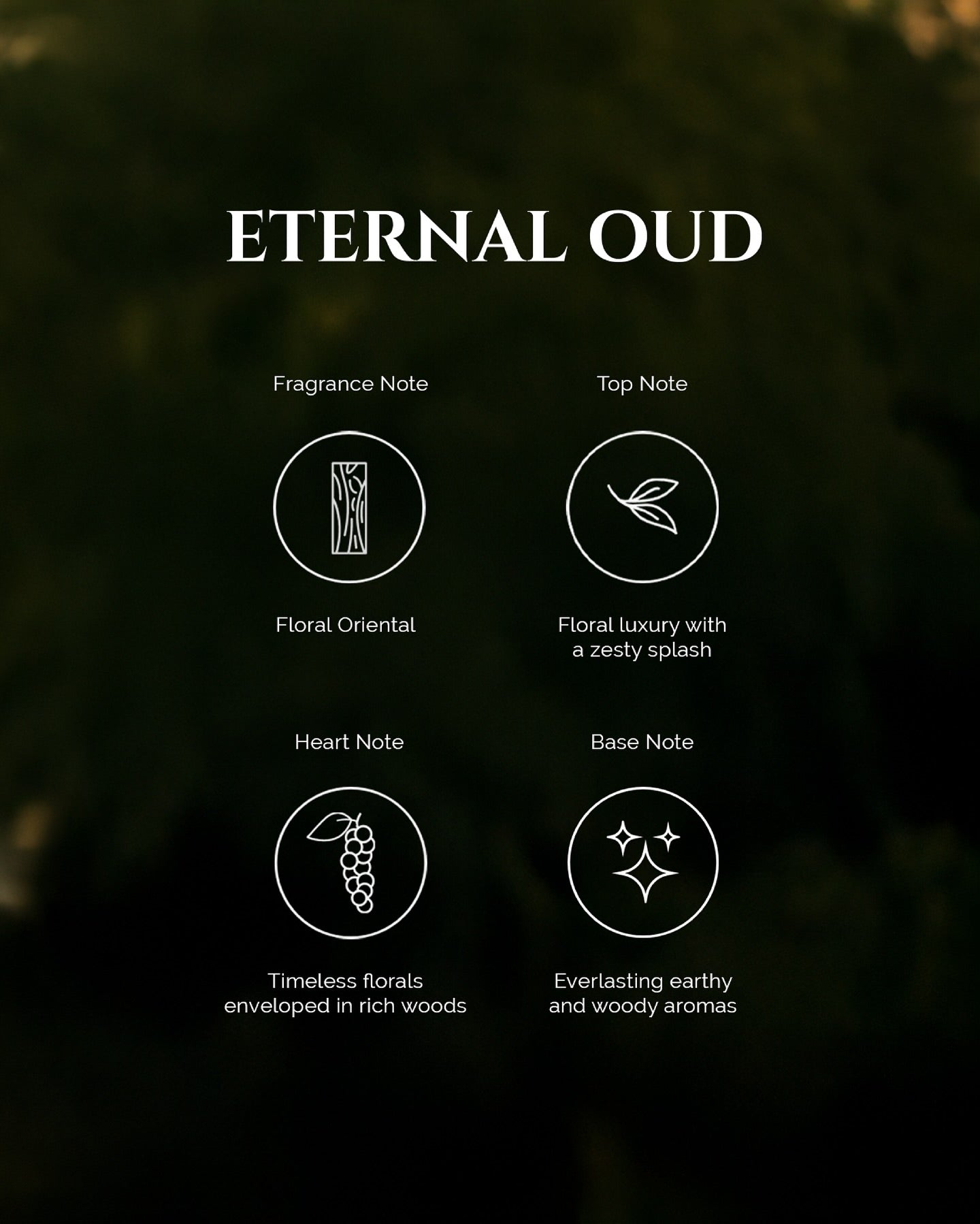 Eternal Oud – Apă de parfum unisex, Maison de l’Avenir, 100 ml