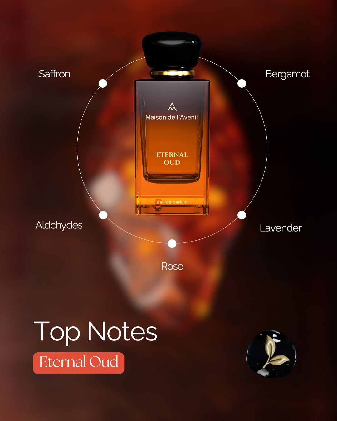 Eternal Oud – Apă de parfum unisex, Maison de l’Avenir, 100 ml