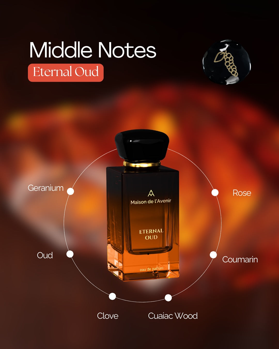Eternal Oud – Apă de parfum unisex, Maison de l’Avenir, 100 ml